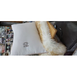 بالشت فونیکس وکیوم